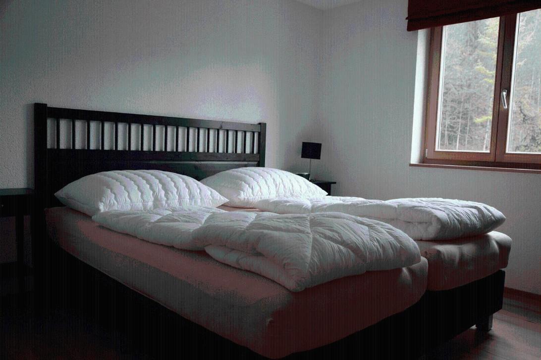 Haus Kanisblick Appartements Schnepfau Ngoại thất bức ảnh